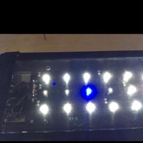 Fish Light