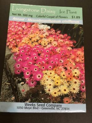Daisy Flowerr Seeds 1 Package