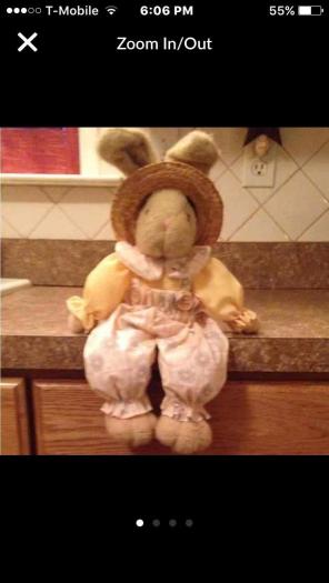 Country Bunny