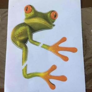 (2) Tree Frog decorative stickers New