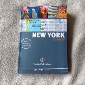 New York Cartoville tourist guidebook