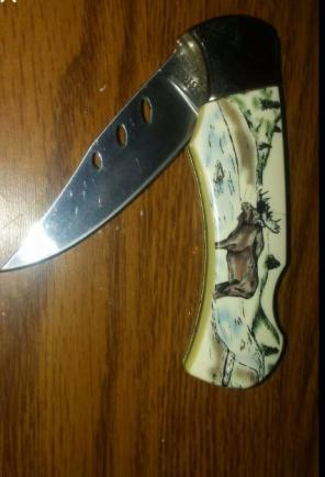 Scrimshaw Pocket Knife Majestic Splendor
