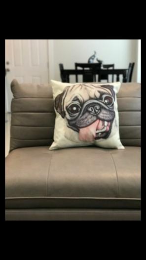 Throw pillow case