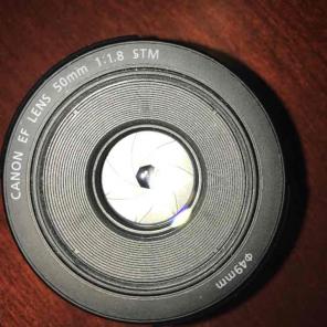 Canon EF 50mm f/1.8 STM Lens