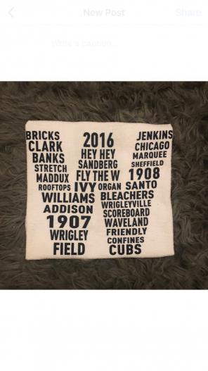 Chicago Cubs 2017 Fly The W Rally Towel