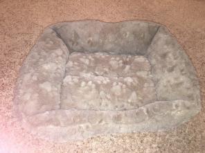 Dog Bed / Could Be Used For Cat Also