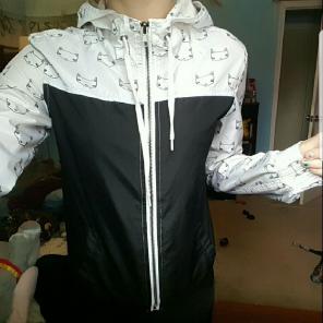 2 Zumiez Windbreakers