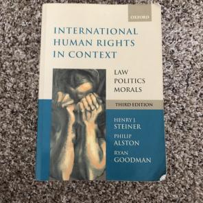 International Human Rights In Context