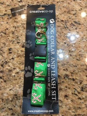 Large Collar And Leash Set Dog
