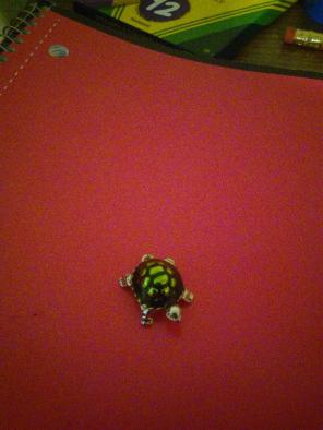 A little turtle charm
