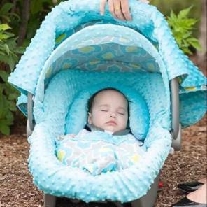 Carseat Canopy Whole Caboodle