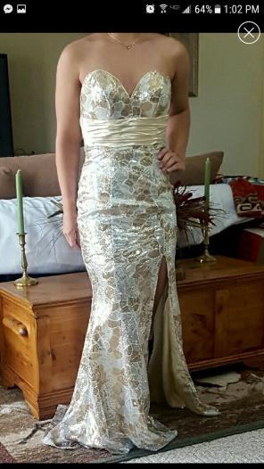 VINTAGE Cire a Division of Landa gown