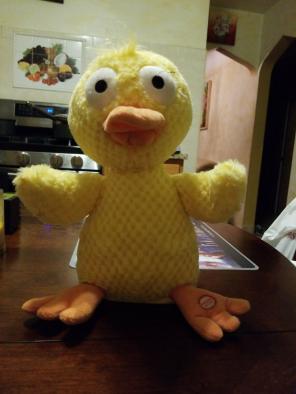 Duck