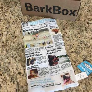 Barkbox Newspaper Toy