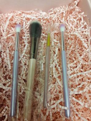 Makeup brushes ipsy &Luxy