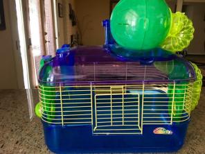 Petco Hamster Cage