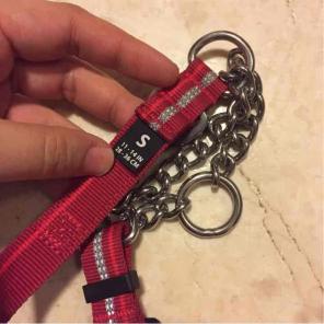 Ruffwear red small collar