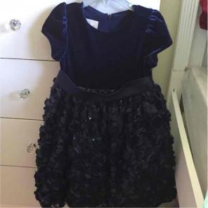 Girls 4t elegant blue dress