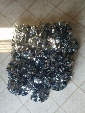 Zebra Poms (19)