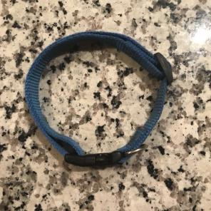 Dog Collar