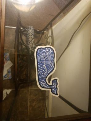 Palm beach vineyard vines whale