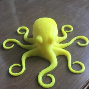 3D Printed Octopus