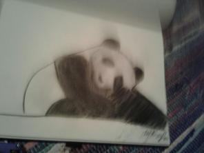 Panda drawing