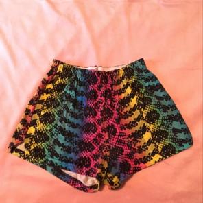 Colorful Soffe Shorts