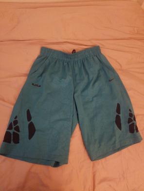 LeBron James Nike Dri Fit Shorts