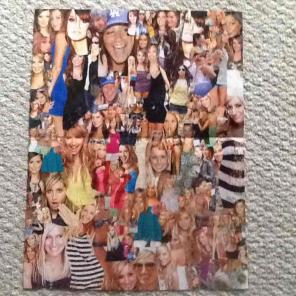 Ashley Tisdale big collage