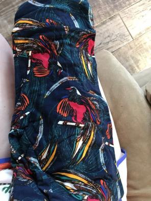 Lularoe Birds Of Paradise OS Leggings