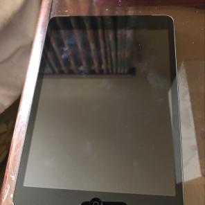 iPad Mini New