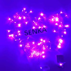 50ft LED Lights Purple
