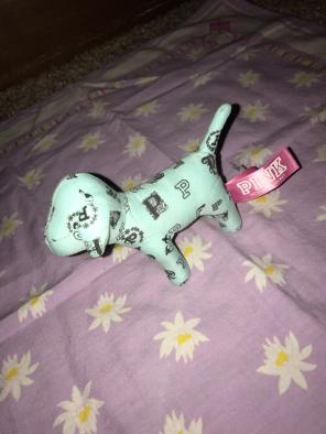 Mini Mint Green Victoria's Secret Dog
