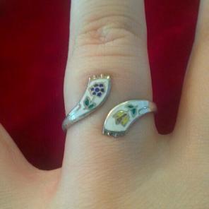 Pretty enamel ring and earrings :)
