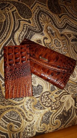 Brahmin wallet and checkbook