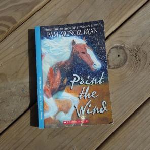 Paint the Wind