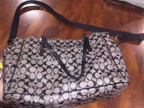 Coach Dipper Bag