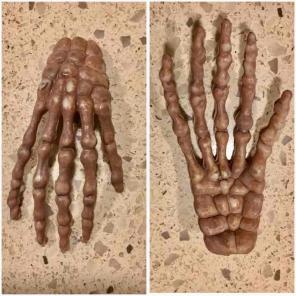 A bundle of 12 Skeleton hands