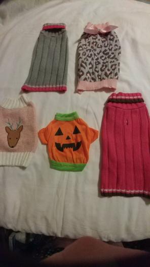 NWOT 5 XS Dog Sweaters