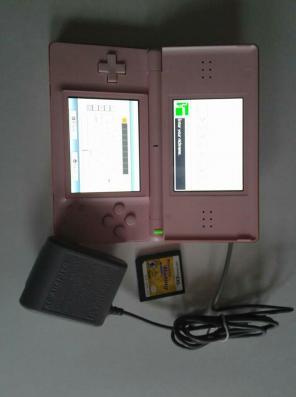 Pink Ds Lite with game and charger.