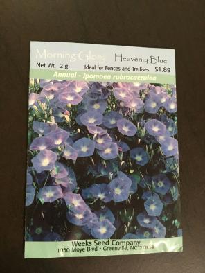 Morning Glory Heavenly Blue Seeds 1 Pack