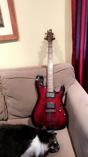 Metal Schecter Guitar