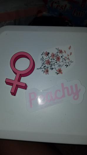 pink sticker bundle
