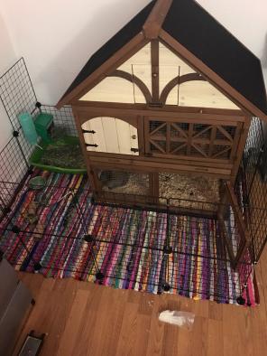 Rabbit Hutch / Small Animal Mansion