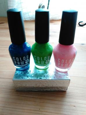 Dog nail polish dogs