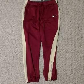 Florida State Nike sweatpants therma fit