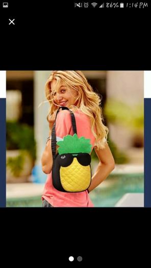 VS PINEAPPLE COOLER