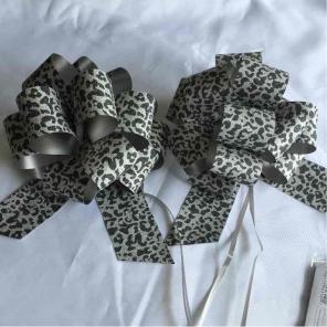 Two Big Beautiful Bows