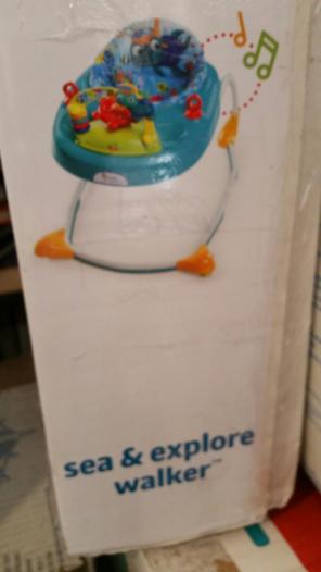 Baby Einstein Walker